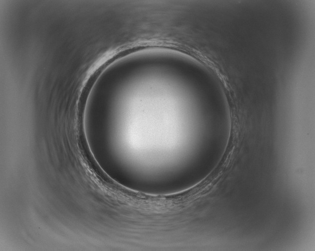 X0000078030008200610271312