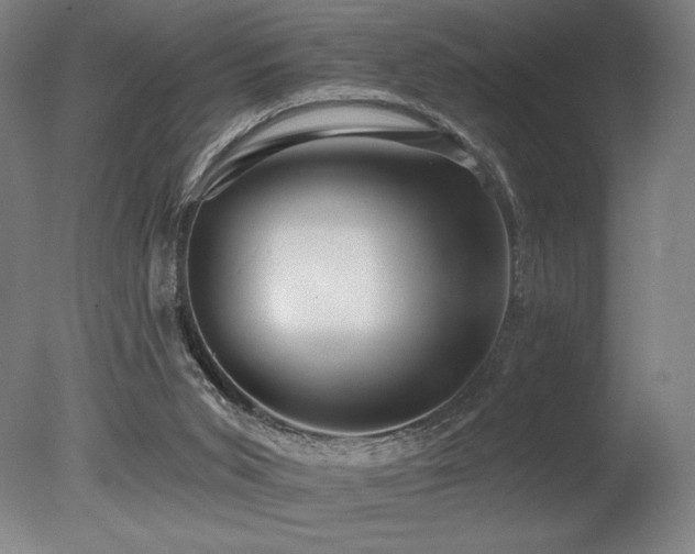 X0000078030015200610271311