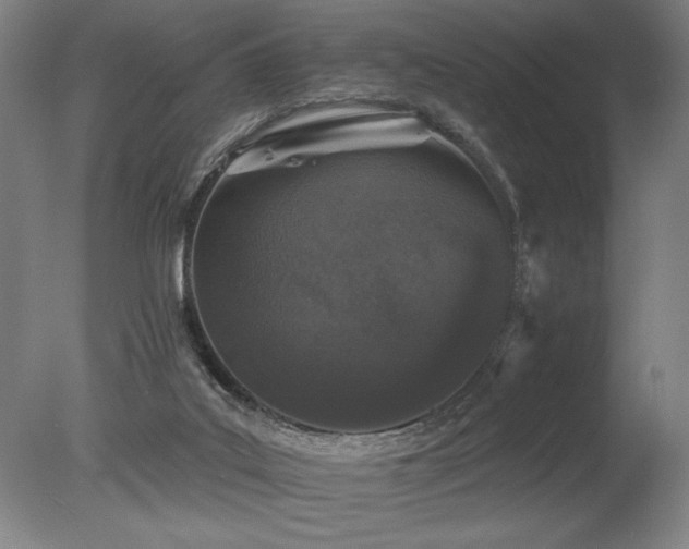 X0000078030019200610271311