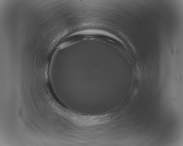 X0000078030023200610271311
