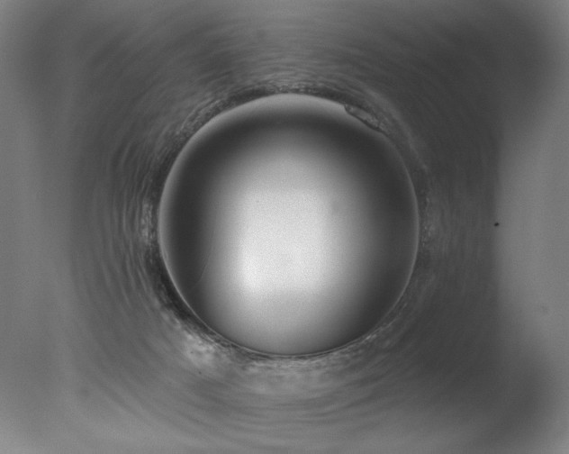 X0000078030025200610271311