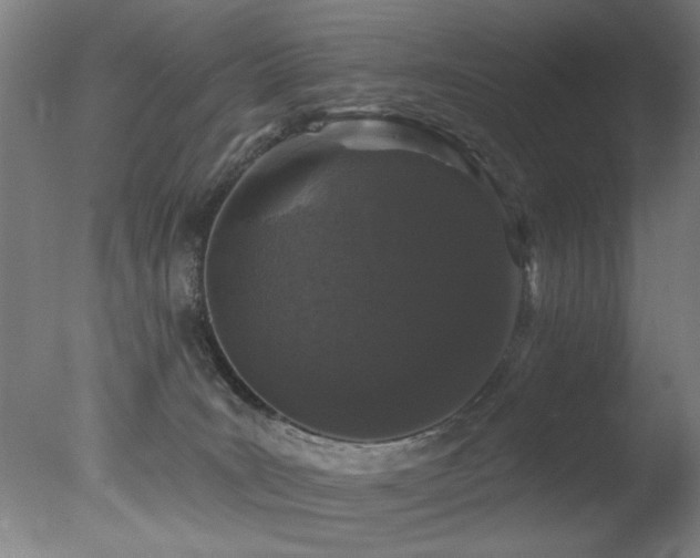 X0000078030035200610271311