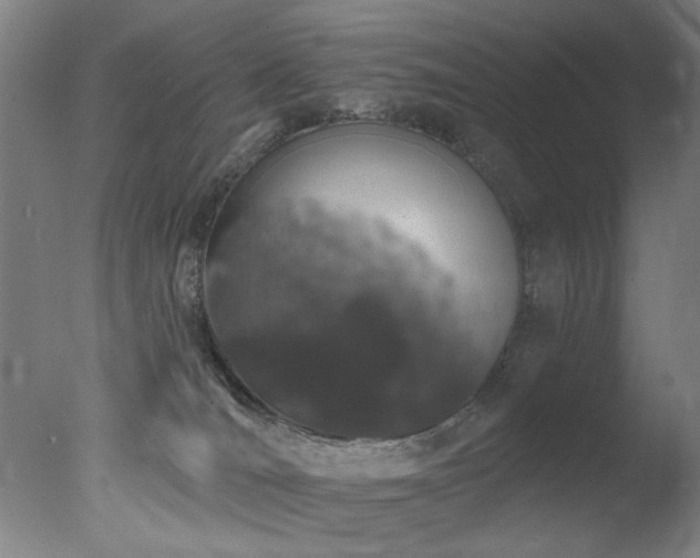 X0000078030036200610271311