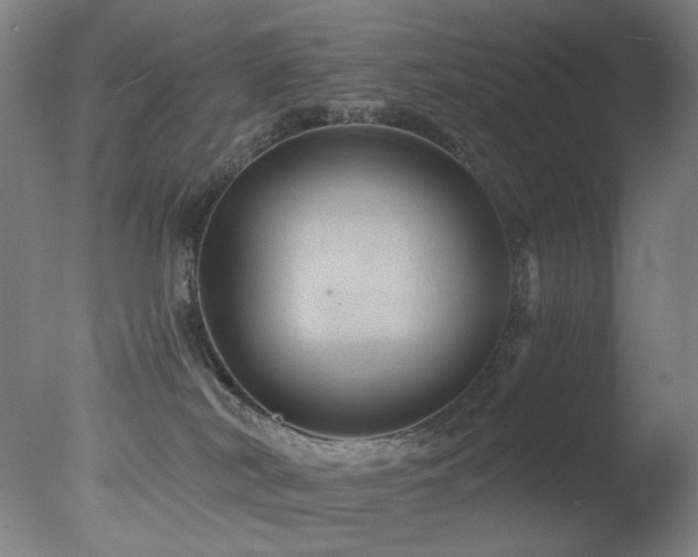 X0000078030038200610271311