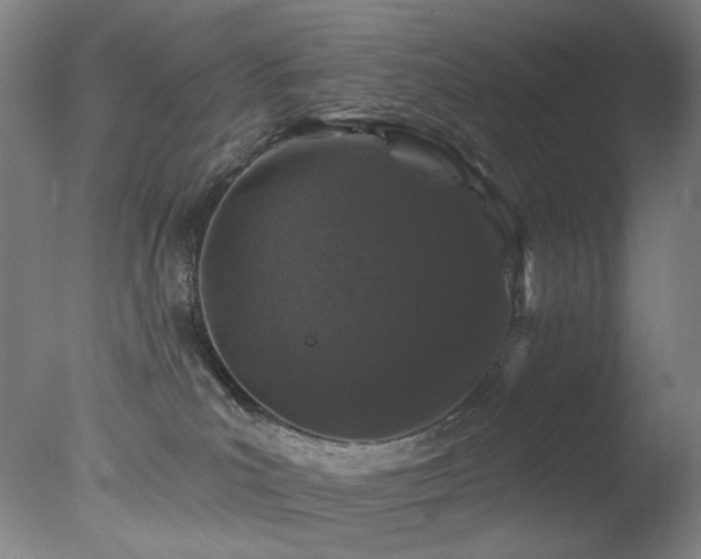 X0000078030039200610271311