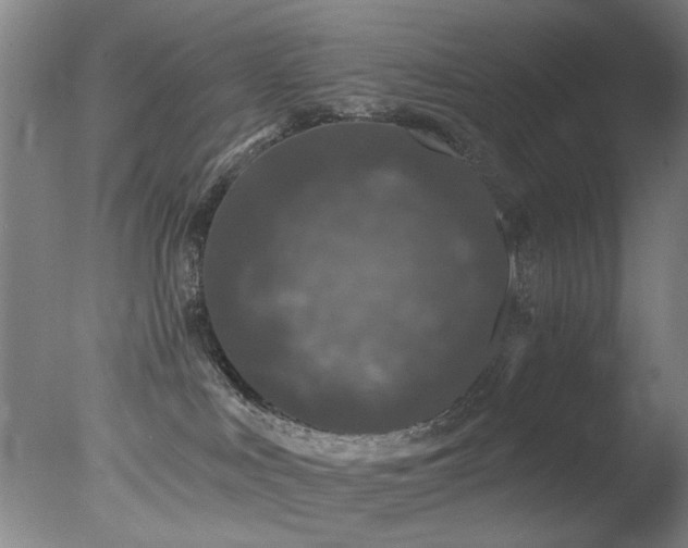 X0000078030043200610271311