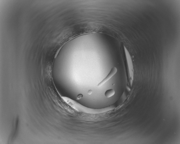 X0000078030045200610271311
