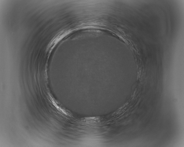X0000078030050200610271310