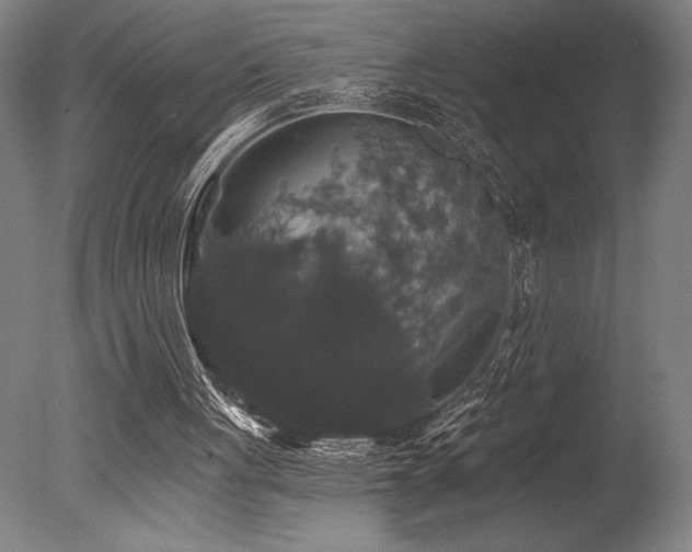 X0000078030051200610271310