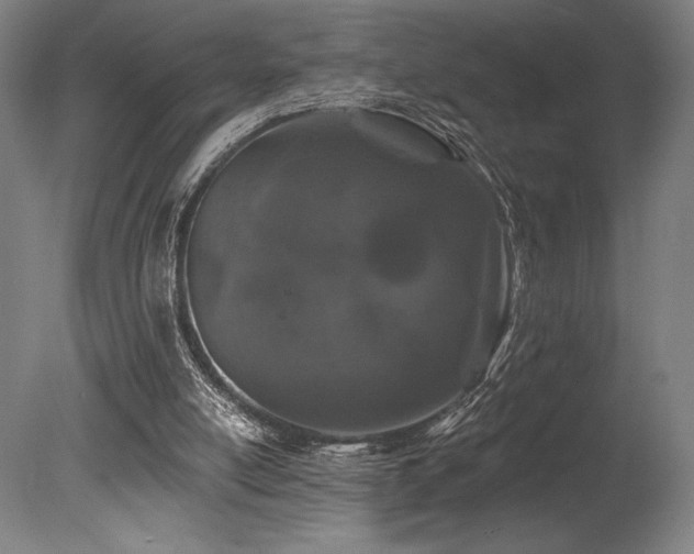 X0000078030054200610271310