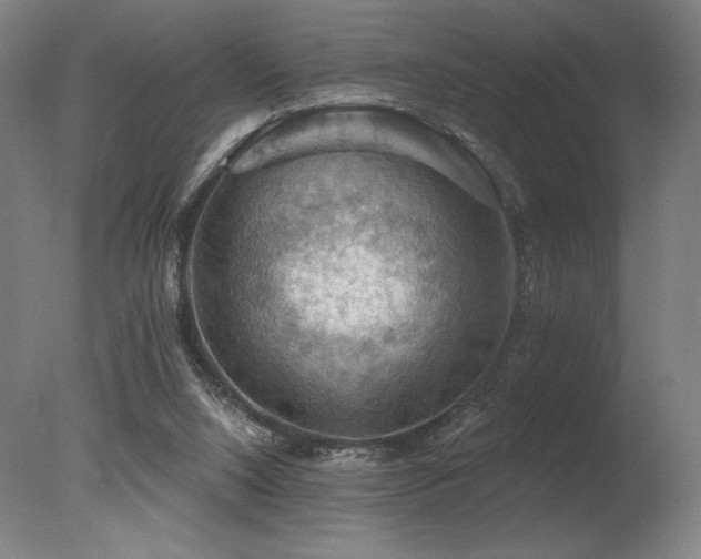X0000078030064200610271310