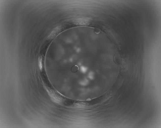 X0000078030069200610271310
