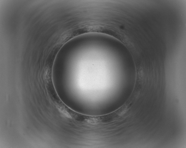 X0000078030079200610271311