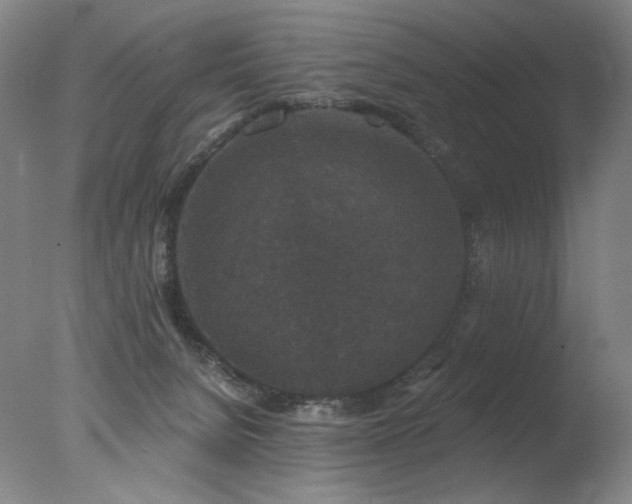 X0000078030080200610271311