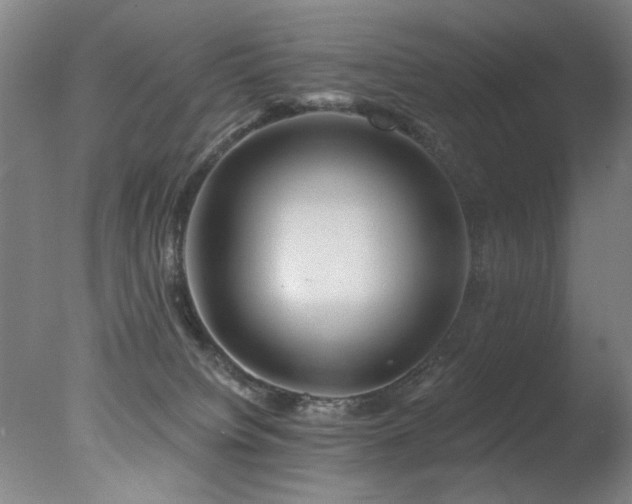 X0000078030084200610271311