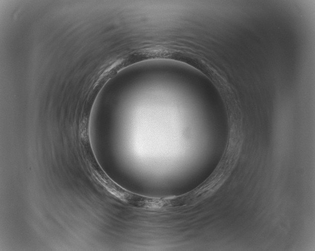 X0000078030096200610271311