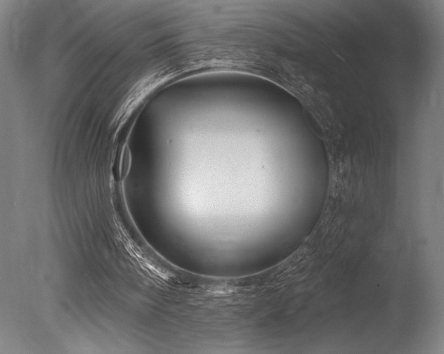 X0000078030098200610271310
