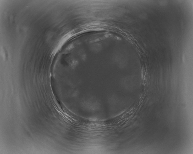 X0000078030099200610271310