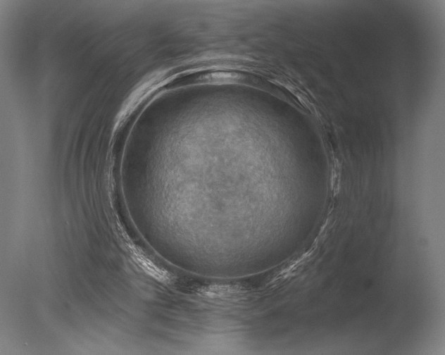 X0000078030101200610271310