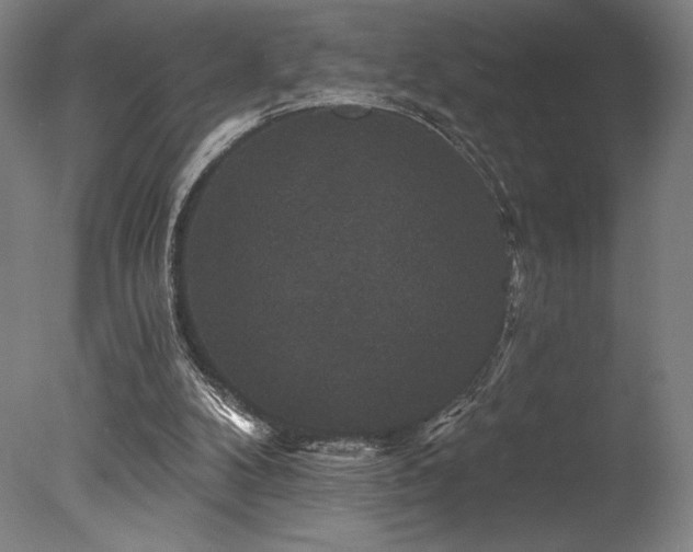 X0000078030104200610271310