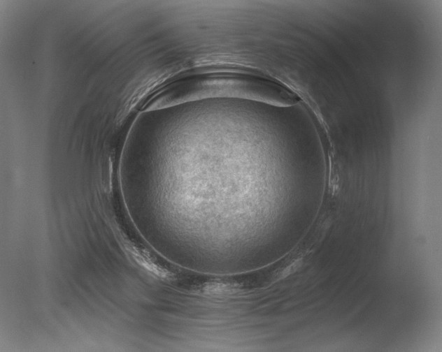 X0000078030109200610271310