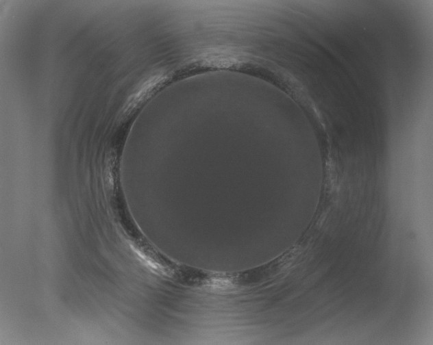 X0000078030114200610271310