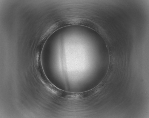 X0000078030118200610271310