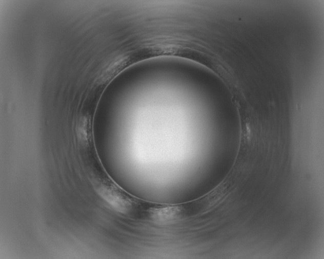 X0000078030122200610271310