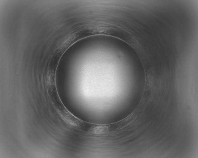 X0000078030126200610271310