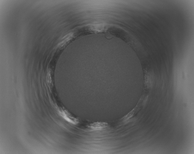 X0000078030128200610271310