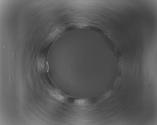 X0000078030139200610271309