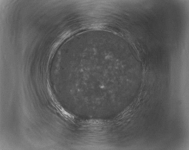 X0000078030145200610271308