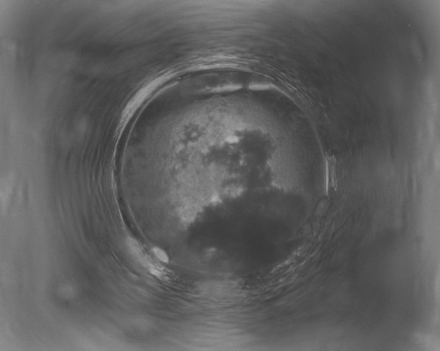 X0000078030147200610271308