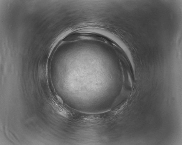 X0000078030148200610271308
