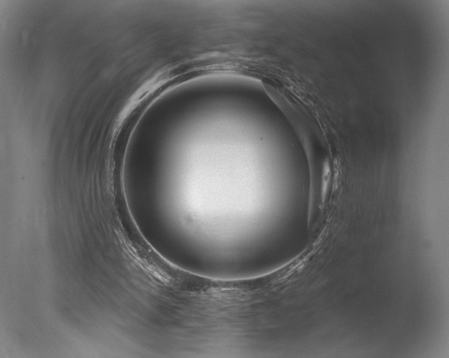 X0000078030150200610271309