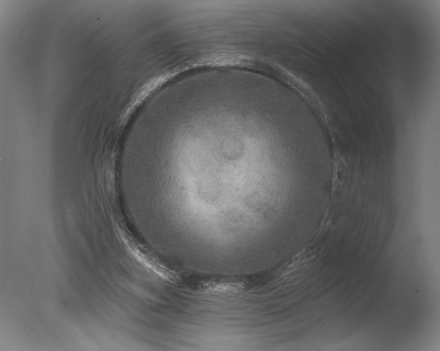X0000078030155200610271309