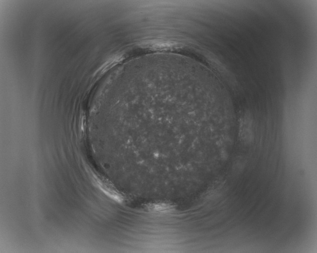 X0000078030165200610271309