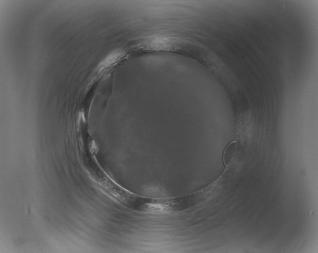 X0000078030167200610271309
