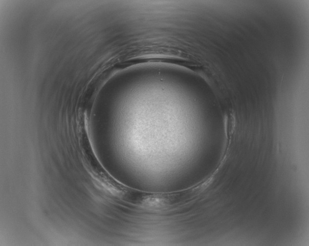 X0000078030174200610271309