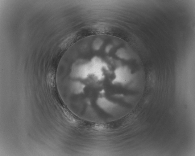 X0000078030177200610271309