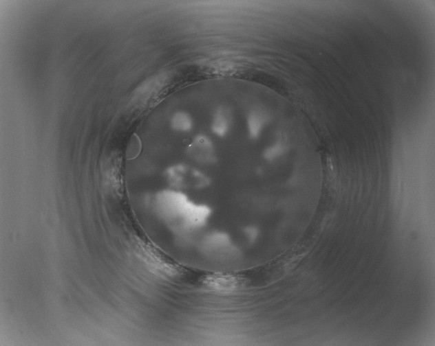 X0000078030181200610271309