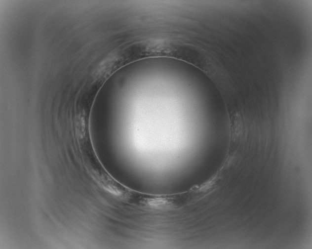 X0000078030183200610271309