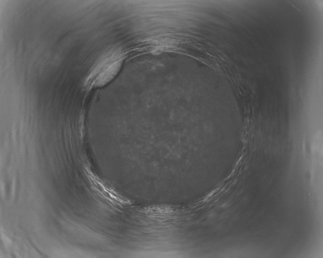 X0000078030194200610271308