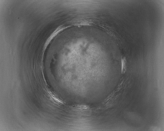X0000078030195200610271308