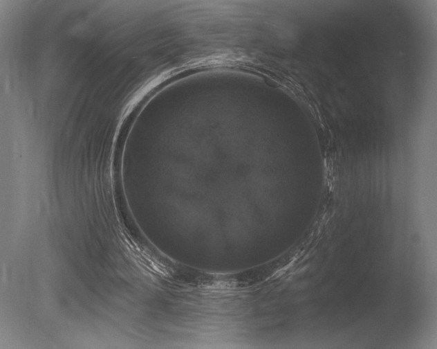 X0000078030196200610271308