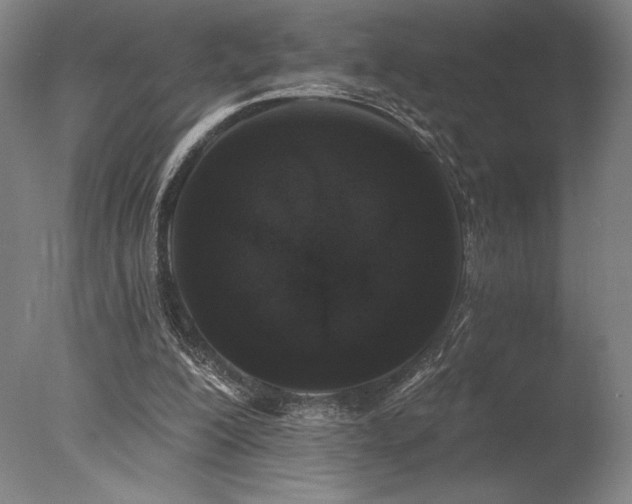 X0000078030200200610271308