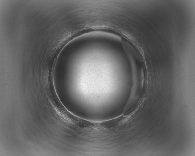 X0000078030201200610271308