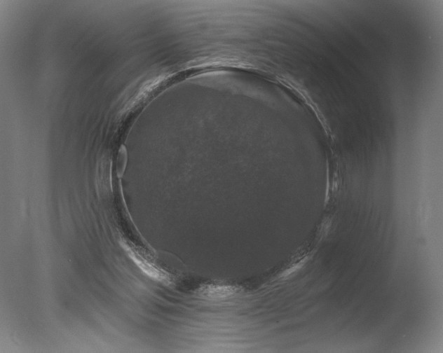X0000078030205200610271308