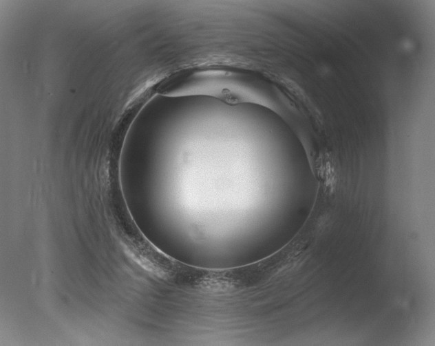 X0000078030207200610271308