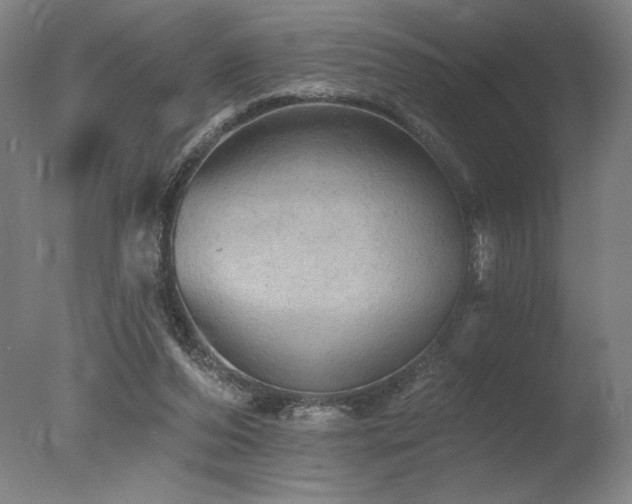 X0000078030208200610271308
